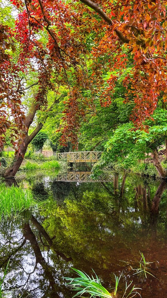 Buslingthorpe Moat by carole_sandford