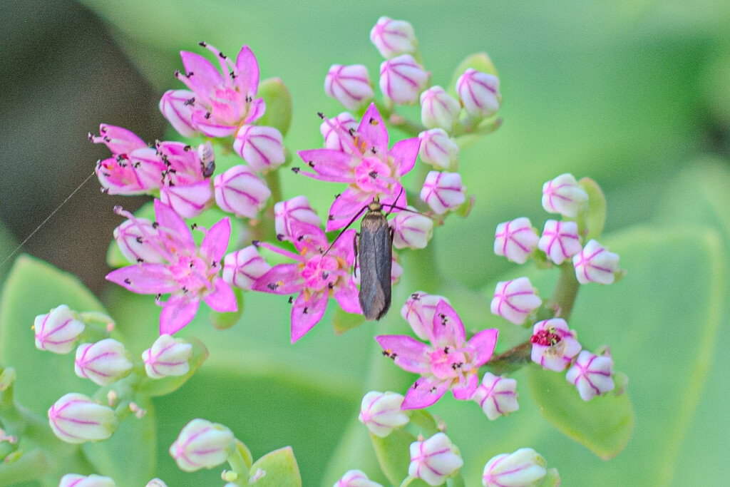 A visitor... by thewatersphotos