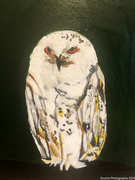 19th May 2024 - Owl (painting)