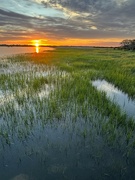 19th May 2024 - Sunset and marsh scene at high tide