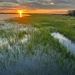 Sunset and marsh scene at high tide