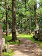 18th May 2024 - Okunoin Cemetary