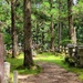 Okunoin Cemetary by kimmer50