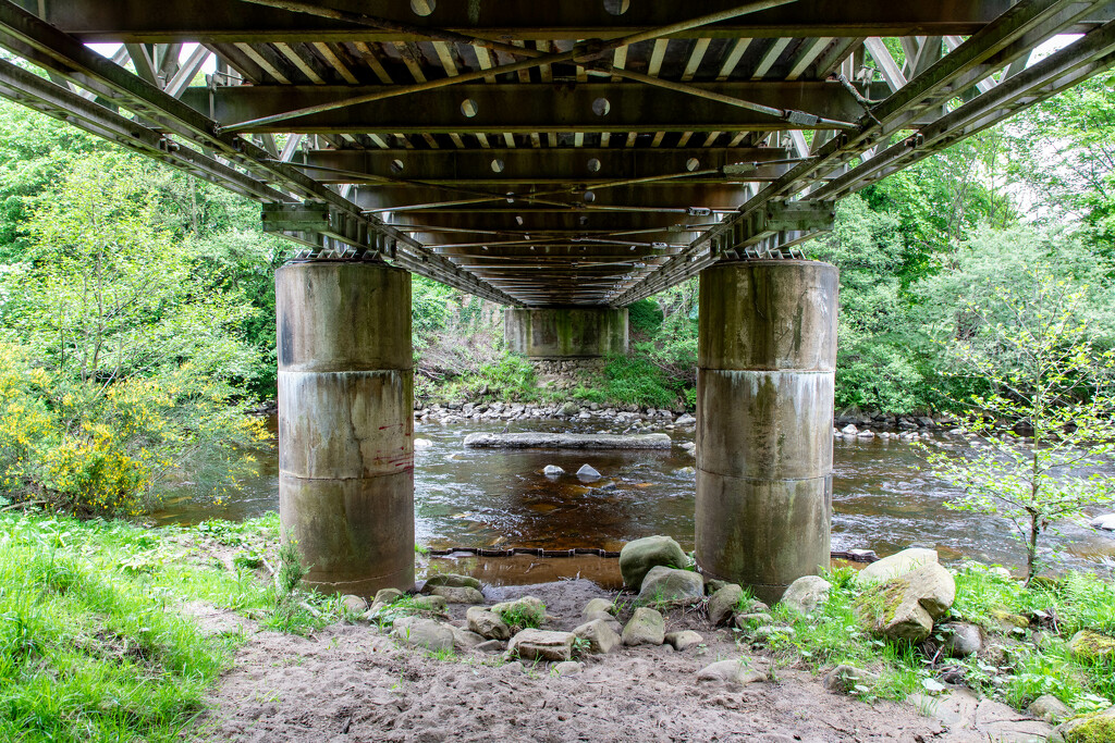 Under The Bridge by tonus