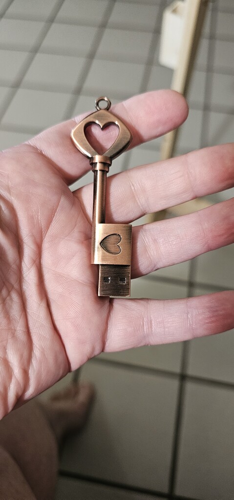 The Key by gothmom1313