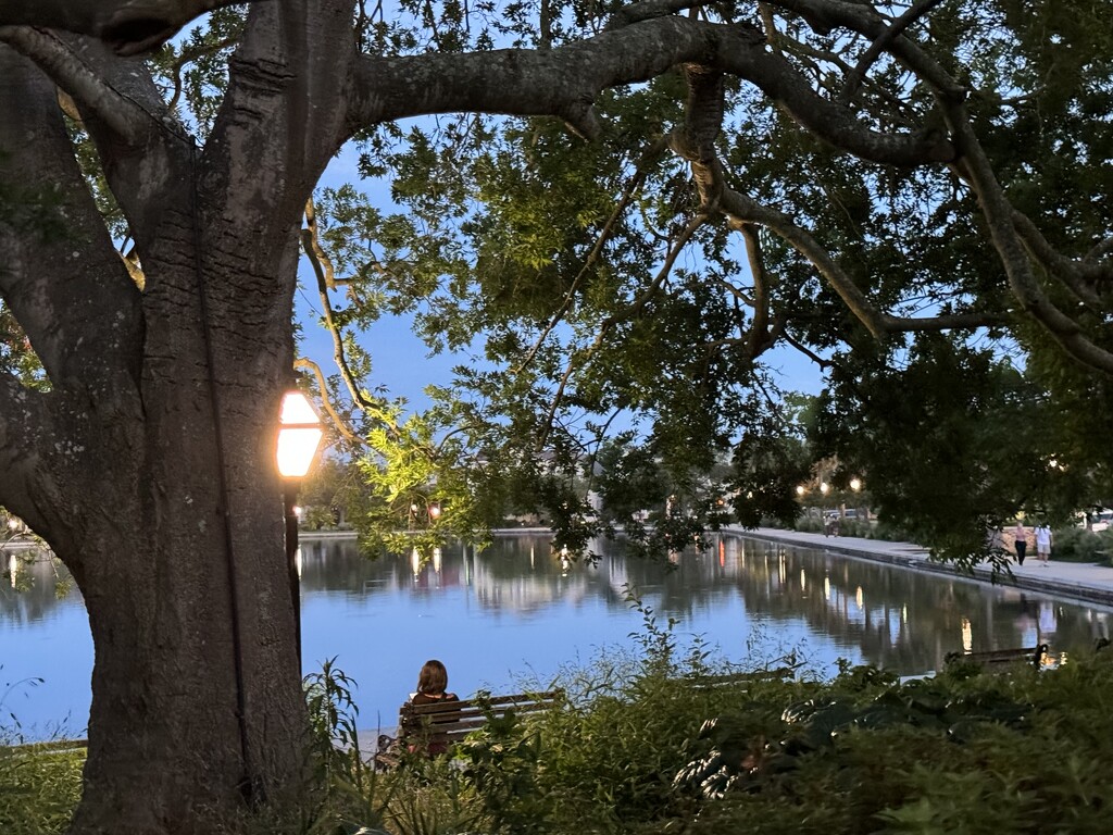 The Blue Hour at Colonial Lake Park right after sundown by congaree