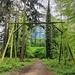 Forest of Dean Sculpture Trail by roachling