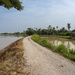 Track Through Rice Paddy by ianjb21