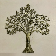 18th May 2024 - Tree