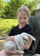 19th May 2024 - Introducing Sunny the bunny....