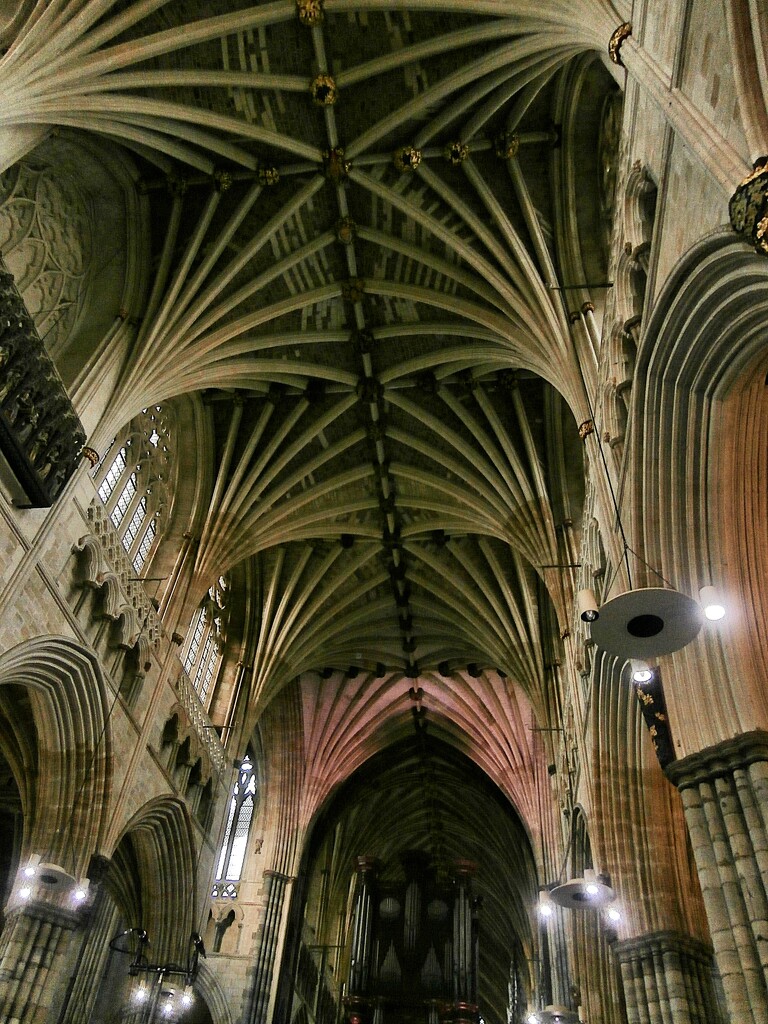 Exeter Cathedral  by cutekitty