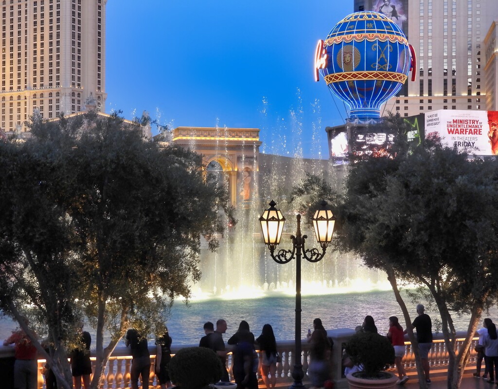 Bellagio Fountain Show, Las Vegas, NV by janeandcharlie