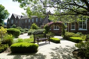 20th May 2024 - St Anthony's Hall Garden, York (2)