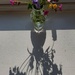 Shadow flowers