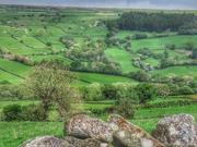 20th May 2024 - Farndale