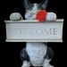 Our Welcome Cat by radiogirl