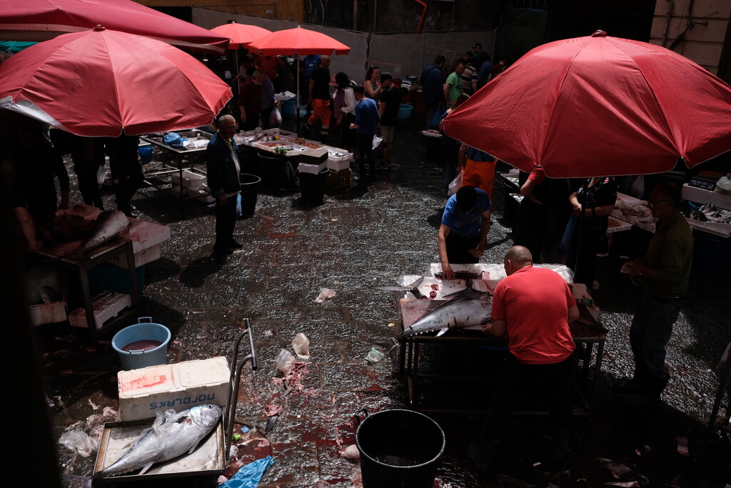 Bloody Catania Fish Market by vincent24