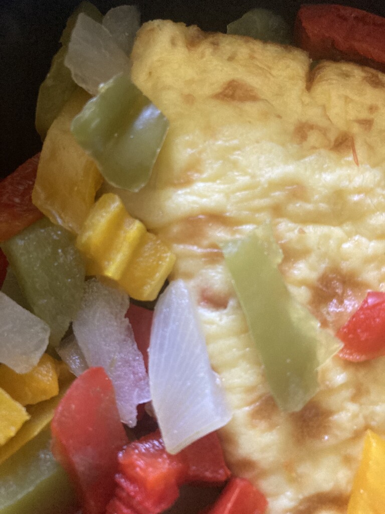 Half Veggies, Half Omelette by spanishliz