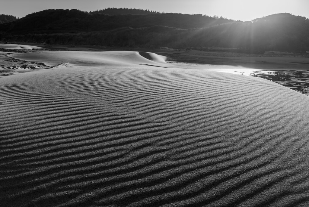 Lines in the sand by jgpittenger