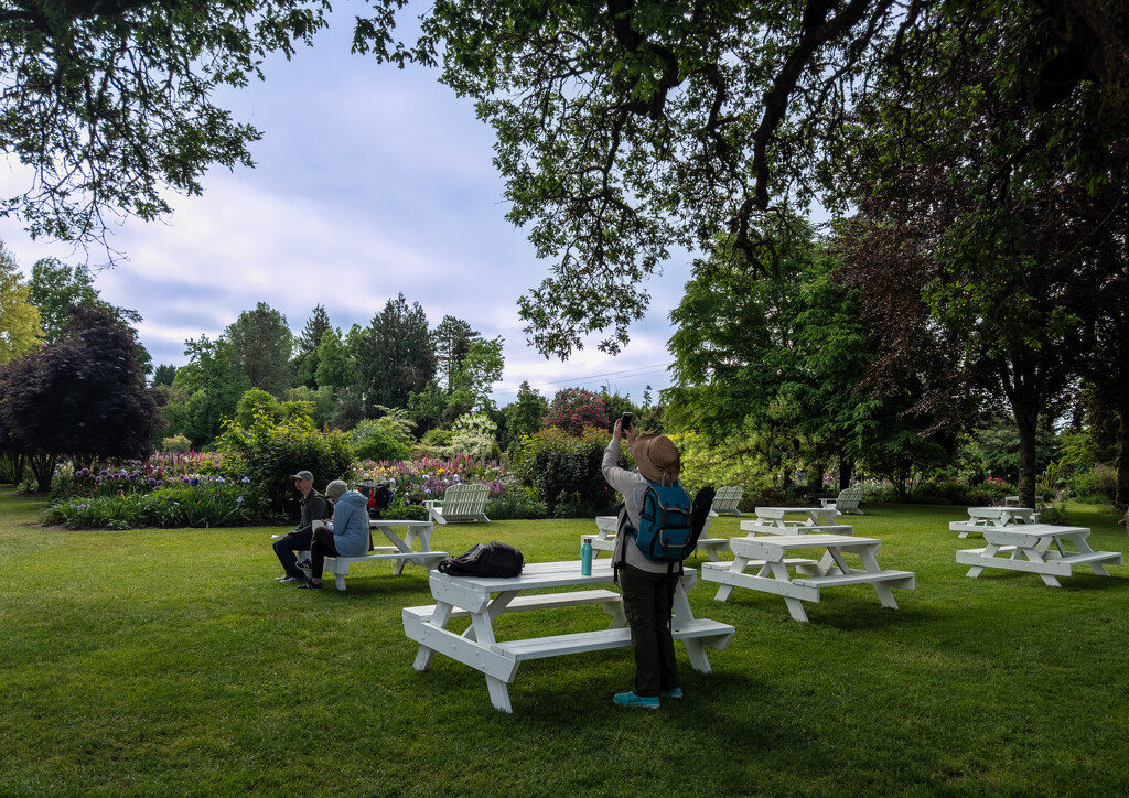 Joy at the Iris Gardens by jgpittenger