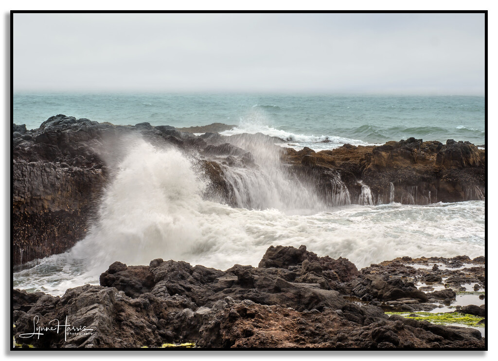 Thor's Well ...... NOT! by lynne5477