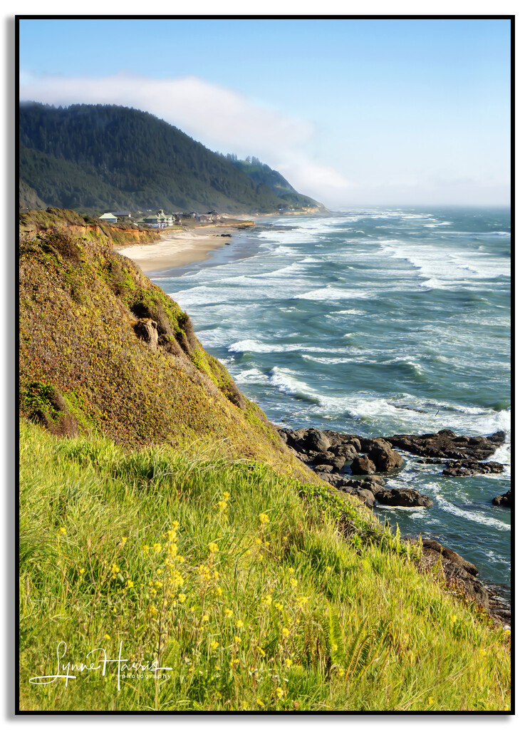 Oregon Coastline by lynne5477