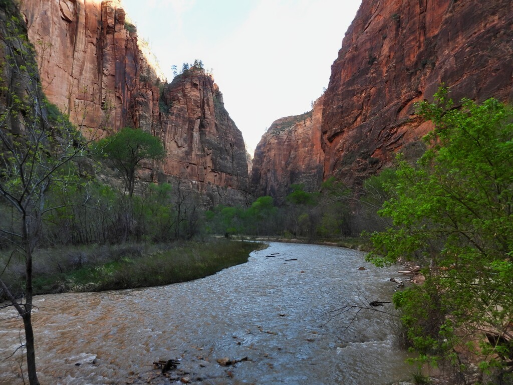 Zion National Park, Utah, USA by janeandcharlie