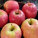 Pink Lady Apples.