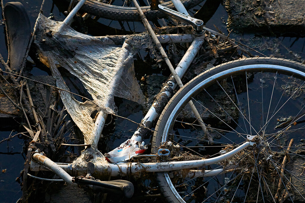 Dumped Bike by gardencat