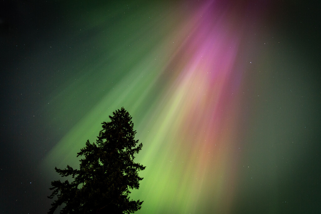 Aurora at Home by tina_mac