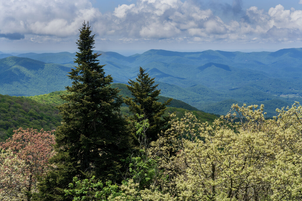 View from Brasstown Bald by kvphoto