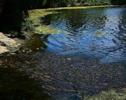 22nd May 2024 - Ripples On The Lake ~