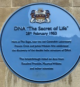 22nd May 2024 - That famous plaque 