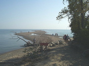 21st May 2024 - 800px-Point_Pelee_looking_south