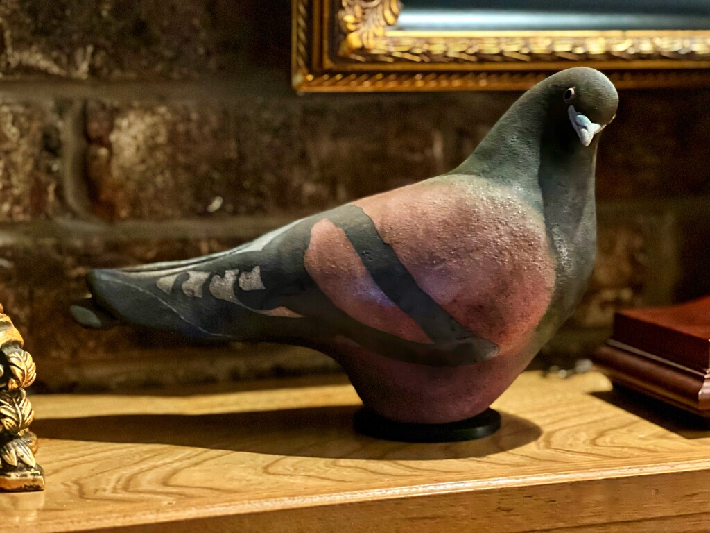 Glo Coalson’s pigeons by louannwarren