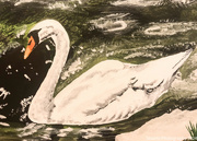22nd May 2024 - Swan (painting)