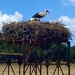 Storks’ Homestead  by cmf