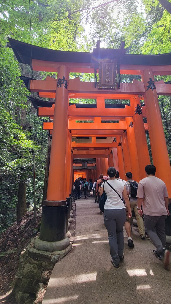 Fushimi Inari Taisha Shrine by kimmer50