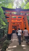 22nd May 2024 - Fushimi Inari Taisha Shrine