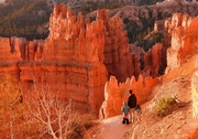 23rd May 2024 - Bryce National Park, Utah, USA