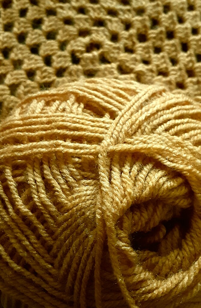 Crocheting a cat blanket  by grace55