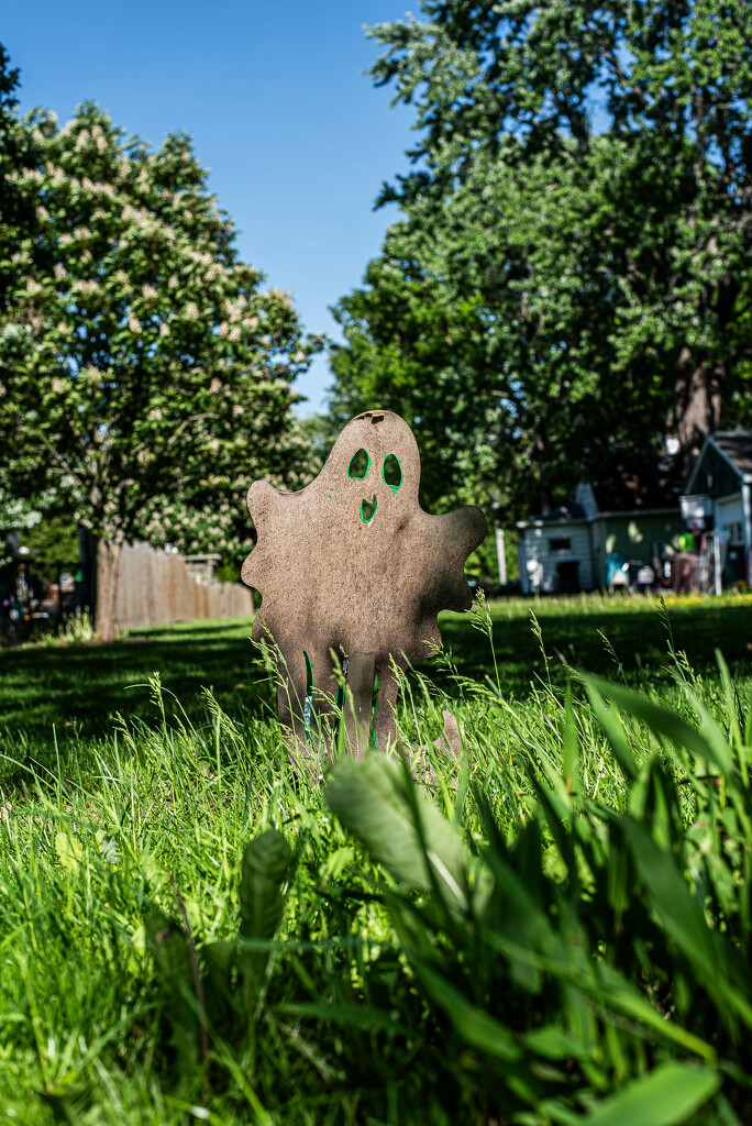 Yard ghost by darchibald