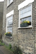 22nd May 2024 - Windowboxes