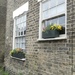 Windowboxes by felicityms