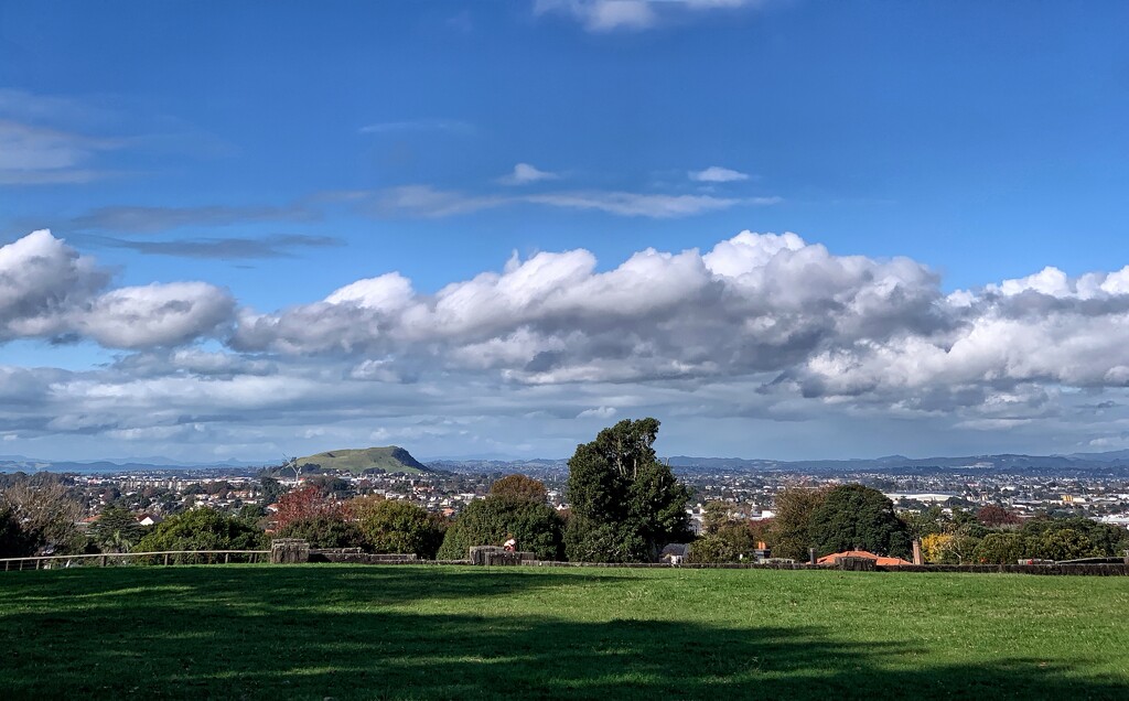 Auckland from Cornwall Park. by happypat
