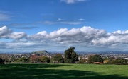 22nd May 2024 - Auckland from Cornwall Park.