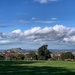 Auckland from Cornwall Park.