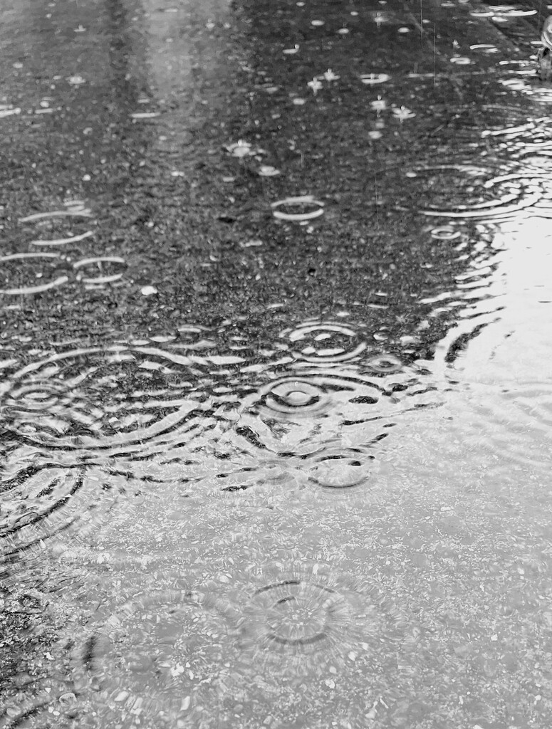Rain drops keep falling  by tedswift
