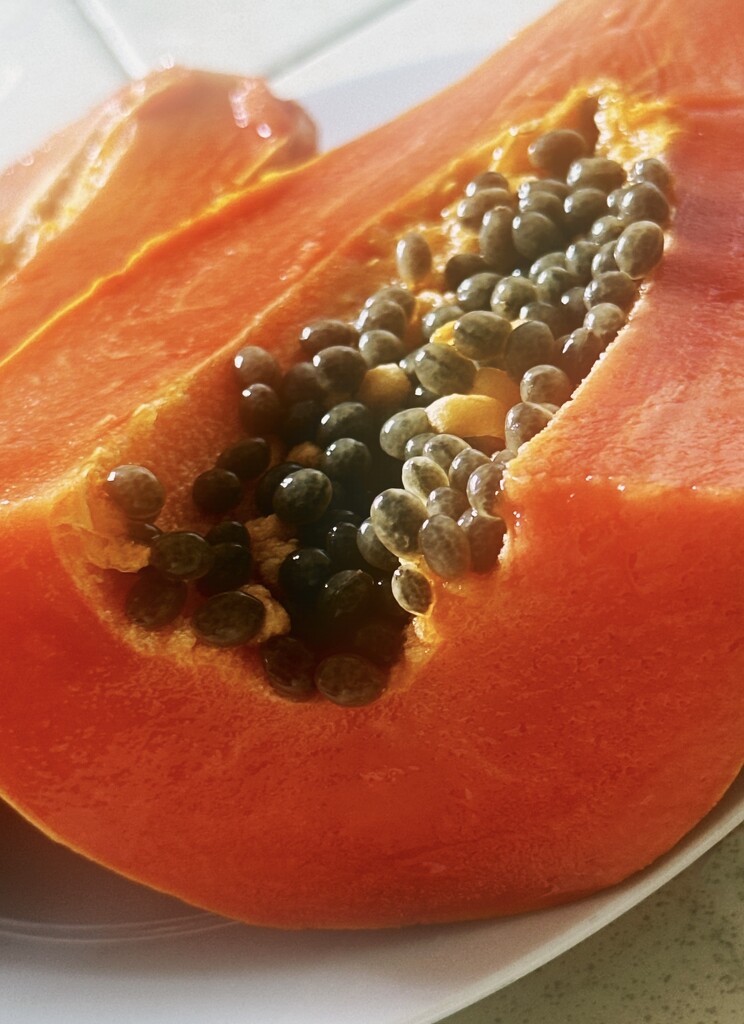 Papaya and Seeds by cocokinetic