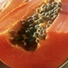 Papaya and Seeds